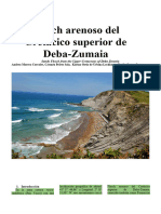 Trabajo Geo Flysch