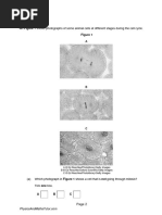 1.1 Cell Structure 3 QP