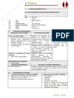 III Ciclo Sesión N 17