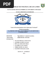 La Protección Del Consumidor en Los Servicios Inmobiliarios