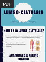 Lumbo Ciatalgia