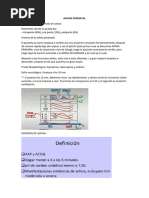 Asfixia Perinatal, Shock Hipoglucémico, Sep Neo