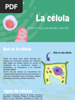 Presentación Biología Células Infantil Orgánico Verde y Azul