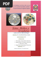 Microbiologia Labo 4