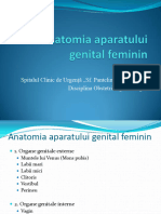 Anatomia Aparatului Genital Feminin