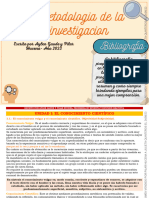 Aypi Resumen Metodologia de La Investigacion