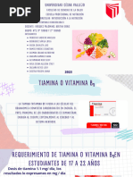 Vit - Hidrosolubles Grupo - P2 Esion 11 .Tiamina y Àcido Fòlico