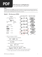 DNA Structure