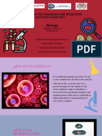 Meiosis, Mitosis y Citocinesis 2