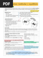 Evaluación Vestibular