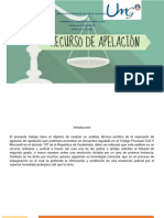 Esquema de Recurso de Apelacion Charle