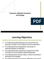 Attitude Formation and Change