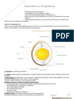 Resumen-Huevos-Y-Ovoproductos Word