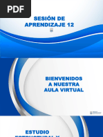 Sesion de Aprendizaje 12 - Sistema Circulatorio III