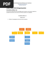 U2. CASO PRÁCTICO (ORGANIZACIÓN) - Cosméticos Bella S.A.