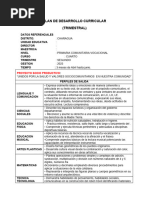 PLAN CURRICULAR DE CLASE 4TO B 2023 (Recuperado Automáticamente)