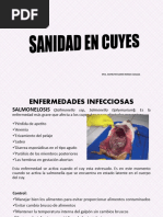 Sanidad en Cuyes