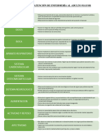 Esquema de Organización Del Plan de Cuidados de Enfermería