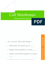 Ch4 CellMembranes