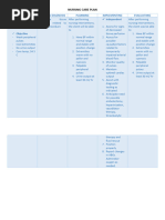 Nursing Care Plan 2