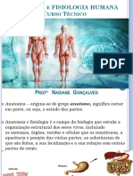 Aula Anatomia e Fisiologia 1 Unidade Inc.