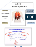 Arti 3 Aparato Respiratoro