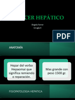 Cáncer Hepático