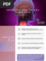 Fisiología Endocrina