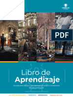 Libro Aprendizajes