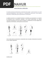 Apunte N °1 Cadenas Musculares