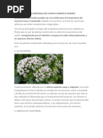 Plantas Medicinales Que Ayudan A Combatir El Insomnio1