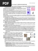 Clase 4-Principios de Parasitologia