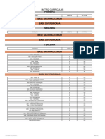 Matriz EXPANDIDO