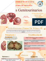 Tumores Genitourinarios Subgrupo.