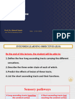 2-Long Ascending Tracts