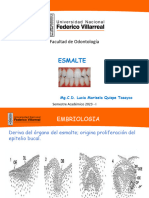 Unidad 2 - Sem 11 - Esmalte - Teoria