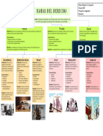 Cuadro de Las Ramas Del Derecho