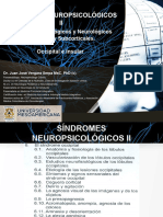 Sindromes Neuropsicologicos II, 3era Clase