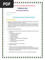 Tarea N2 Edu - Ambiental