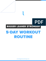 Bigger Leaner Stronger 5-Day Routine