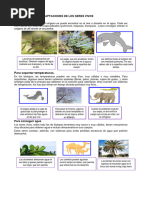 Las Adaptaciones de Los Seres Vivos-06