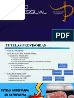 Processo Civil IV. Aula 02. Tutelas Provisórias - Introdução, Requisitos, Espécies e Características.