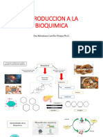 Presentacion Introduccion A La Bioquimica