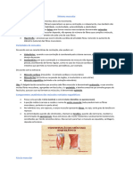 Sistema Muscular (Anatomia)