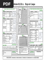 Hoja de Campo REBA