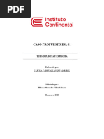 Caso Idl1 - Informe Comunicacion y Argumentacion