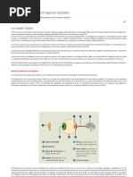 4.1-Características de Las Imágenes Digitales - La Imagen Digital