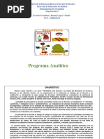 Programa Analítico 1° Campo Lenguajes.