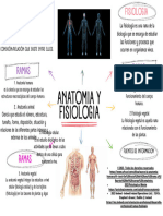 Mapa Conceptual de Anatomia y Fisiologia