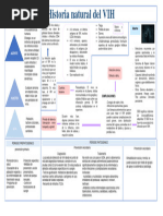 Historia Natural Del Vih